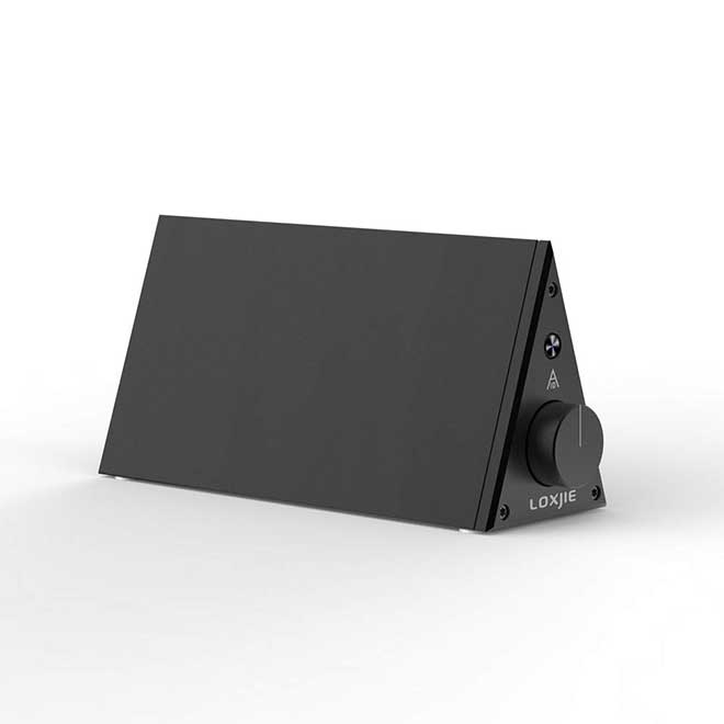 آمپلی فایر استریو تقویت کننده سطح تراشه آدیوفیل با قدرت بالا LOXJIE A10 TPA3116 - تصویر 6